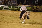 WEG-Reining-8-30-14-0000459-TomMcCutcheon-DunGetANicadual-USA-DDeRosaPhoto
