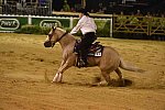 WEG-Reining-8-30-14-0000462-TomMcCutcheon-DunGetANicadual-USA-DDeRosaPhoto