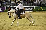 WEG-Reining-8-30-14-0000465-TomMcCutcheon-DunGetANicadual-USA-DDeRosaPhoto