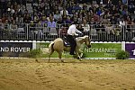 WEG-Reining-8-30-14-0000467-TomMcCutcheon-DunGetANicadual-USA-DDeRosaPhoto