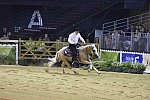 WEG-Reining-8-30-14-0000470-TomMcCutcheon-DunGetANicadual-USA-DDeRosaPhoto