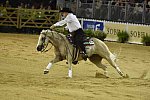 WEG-Reining-8-30-14-0000471-TomMcCutcheon-DunGetANicadual-USA-DDeRosaPhoto