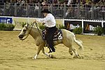 WEG-Reining-8-30-14-0000482-TomMcCutcheon-DunGetANicadual-USA-DDeRosaPhoto