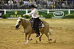 WEG-Reining-8-30-14-0000484-TomMcCutcheon-DunGetANicadual-USA-DDeRosaPhoto