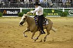 WEG-Reining-8-30-14-0000485-TomMcCutcheon-DunGetANicadual-USA-DDeRosaPhoto