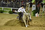 WEG-Reining-8-30-14-0000494-TomMcCutcheon-DunGetANicadual-USA-DDeRosaPhoto