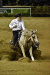 WEG-Reining-8-30-14-0000501-TomMcCutcheon-DunGetANicadual-USA-DDeRosaPhoto