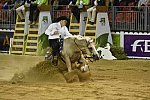 WEG-Reining-8-30-14-0000504-TomMcCutcheon-DunGetANicadual-USA-DDeRosaPhoto