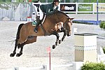 WEG-SJ-1st-9-2-14-0003182-DarraghKenny-Imothep-IRL-DDeRosaPhoto