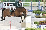WEG-SJ-1st-9-2-14-0003183-DarraghKenny-Imothep-IRL-DDeRosaPhoto