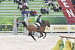 WEG-SJ-1st-9-2-14-0003189-DarraghKenny-Imothep-IRL-DDeRosaPhoto