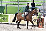 WEG-SJ-1st-9-2-14-0003196-DarraghKenny-Imothep-IRL-DDeRosaPhoto