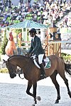 WEG1-SJ-Team1-9-3-14-0008403-DarraghKenny-Imothep-IRL-DDeRosaPhoto