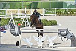 WEG1-SJ-Team2-9-4-14-0001773-DarraghKenny-Imothep-IRL-DDeRosaPhoto