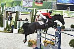WEG1-SJ-Team2-9-4-14-0003035-BeezieMadden-CortesC-USA-DDeRosaPhoto