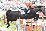 WEG2-SJ-Team1-9-3-14-0000210-BeezieMadden-CortesC-USA-DDeRosaPhoto