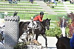 WEG2-SJ-Team1-9-3-14-0000234-BeezieMadden-CortesC-USA-DDeRosaPhoto