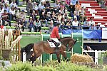 WEG-SJ-1st-9-2-14-0005258-KentFarrington-Voyeur-USA-DDeRosaPhoto