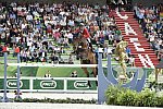WEG-SJ-1st-9-2-14-0005281-KentFarrington-Voyeur-USA-DDeRosaPhoto