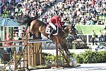 WEG1-SJ-Team1-9-3-14-0008528-KentFarrington-Voyeur-USA-DDeRosaPhoto