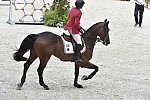 WEG1-SJ-Team2-9-4-14-0002426-DDeRosaPhoto