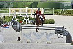 WEG1-SJ-Team2-9-4-14-0002718-LucyDavis-Barron-USA-DDeRosaPhoto