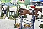 WEG1-SJ-Team2-9-4-14-0002721-LucyDavis-Barron-USA-DDeRosaPhoto