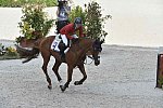 WEG1-SJ-Team2-9-4-14-0002752-LucyDavis-Barron-USA-DDeRosaPhoto