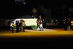 WorldCup-4-17-09-666-DeRosaPhoto