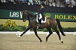JeanetteHaazen-Nartan-DER_8333.jpg