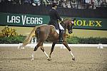 MarcoBernal-Diamore-DER_8259-DDeRosa.jpg