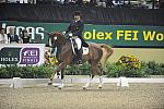 MarcoBernal-Diamore-DER_8278-DDeRosa.jpg