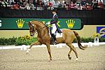 MonicaTheodorescu-Whisper-DER_8511.jpg