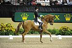 MonicaTheodorescu-Whisper-DER_8527.jpg
