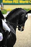 WorldCup-4-16-09-Dressage-741-SteffenPeters-Ravel-DDeRosaPhoto