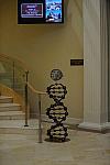 DrPearseLyons-DSC_3273-DDeRosaPhoto.jpg