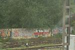 003-WEG-8-18-19-06-&copy;DDeRosaPhoto.jpg