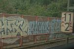 008-WEG-8-18-19-06-&copy;DDeRosaPhoto.jpg