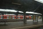 013-WEG-8-18-19-06-&copy;DDeRosaPhoto.jpg