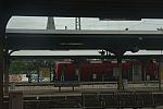 014-WEG-8-18-19-06-&copy;DDeRosaPhoto.jpg