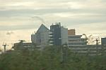 016-WEG-8-18-19-06-&copy;DDeRosaPhoto.jpg