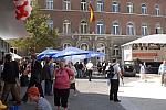 034-WEG-8-18-19-06-&copy;DDeRosaPhoto.jpg