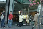 044-WEG-8-18-19-06-&copy;DDeRosaPhoto.jpg