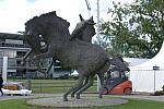 050-WEG-8-18-19-06-&copy;DDeRosaPhoto.jpg