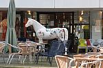 063-WEG-8-18-19-06-&copy;DDeRosaPhoto.jpg