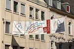 066-WEG-8-18-19-06-&copy;DDeRosaPhoto.jpg