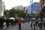 067-WEG-8-18-19-06-&copy;DDeRosaPhoto.jpg