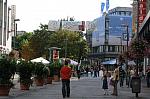 067-WEG-8-18-19-06-&copy;DDeRosaPhoto.jpg