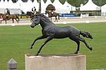 082-Showgrounds-WEG-8-18-19-06-&copy;DDeRosaPhoto.jpg