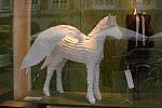 124-WEG-8-18-19-06-&copy;DDeRosaPhoto.jpg